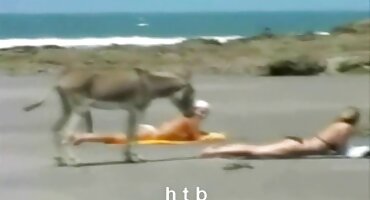 Sportski Chica jebanje s jakim bejzbol sex pormo film igrač