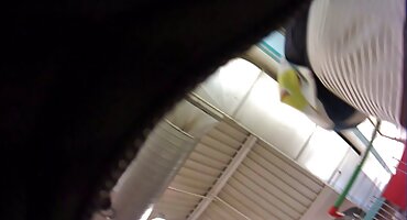 Slatka Plavuša svog partnera traži xxx porno snimci jebanje u dupe