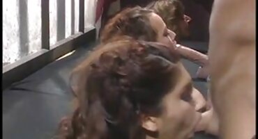 Ovo nije prvi put da se jebu ljubavni filmovi sa puno sexa sa prevodom u knjižnici između polica